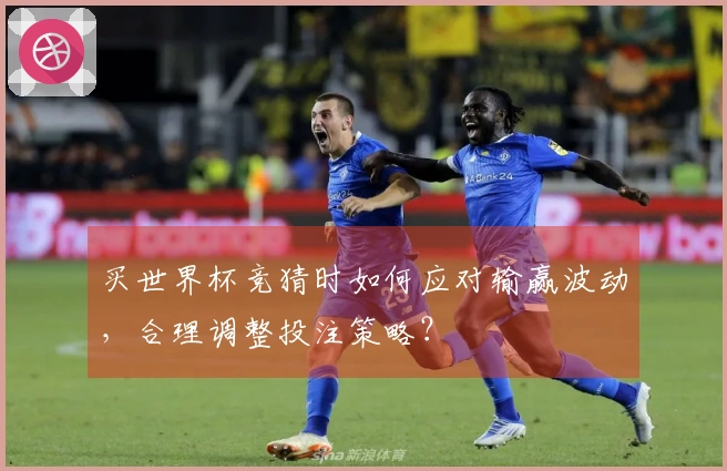 买世界杯竞猜时如何应对输赢波动，合理调整投注策略？