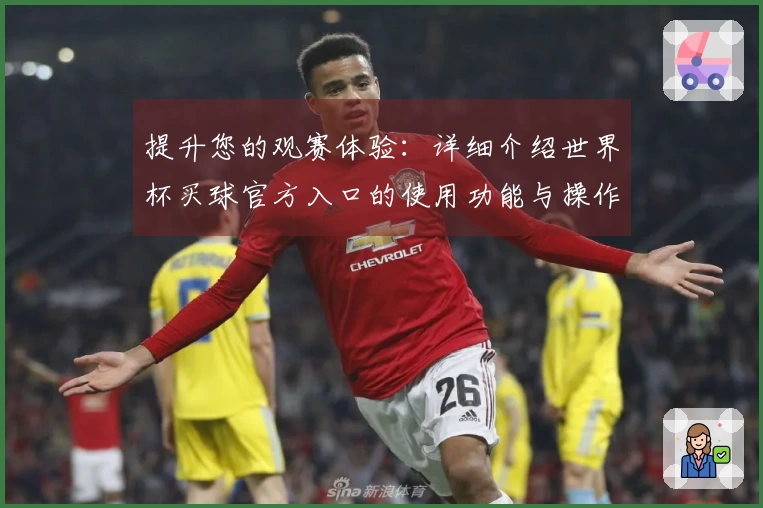 提升您的观赛体验：详细介绍世界杯买球官方入口的使用功能与操作指南
