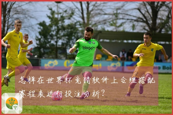 怎样在世界杯竞猜软件上合理搭配赛程表进行投注分析？