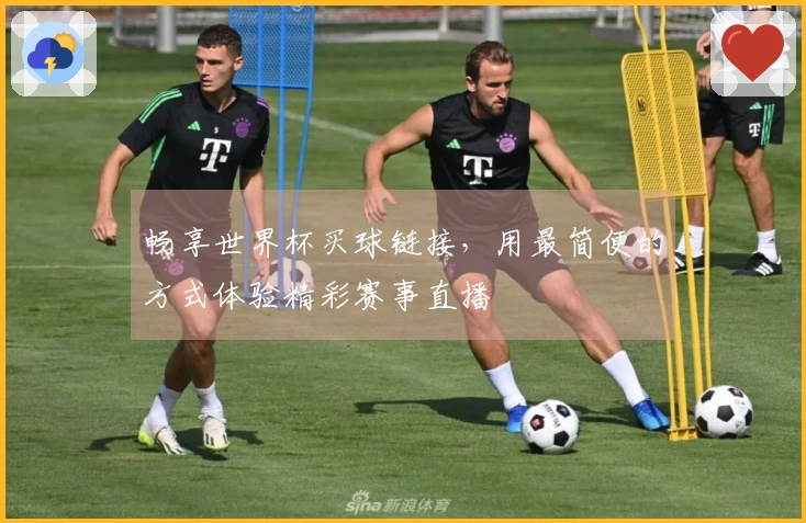 畅享世界杯买球链接，用最简便的方式体验精彩赛事直播