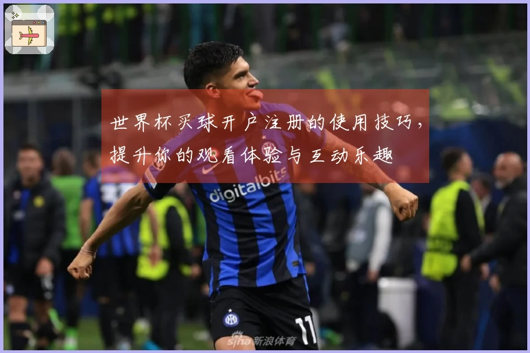 世界杯买球开户注册的使用技巧，提升你的观看体验与互动乐趣