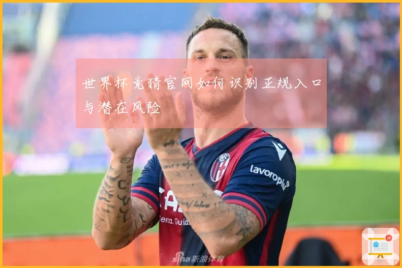 世界杯竞猜官网如何识别正规入口与潜在风险