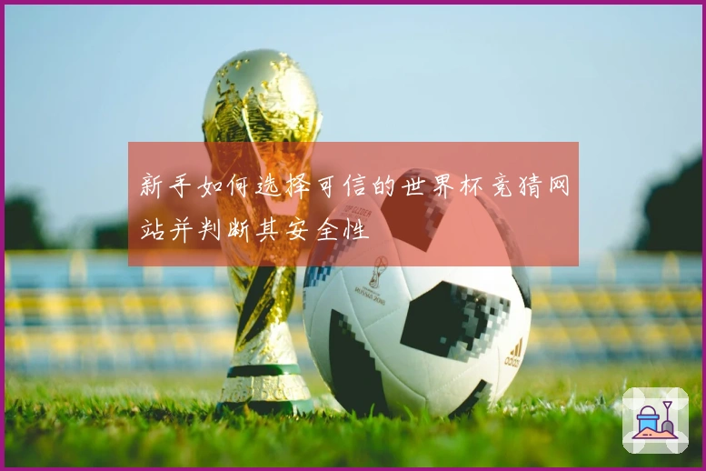 新手如何选择可信的世界杯竞猜网站并判断其安全性