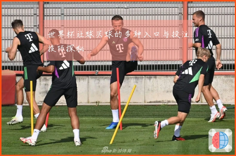 世界杯让球买球的多种入口与投注技巧探秘