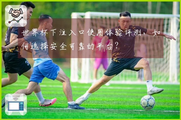 世界杯下注入口使用体验评测，如何选择安全可靠的平台？