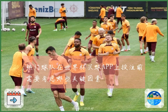 热门球队在世界杯买球APP上投注前需要考虑哪些关键因素
