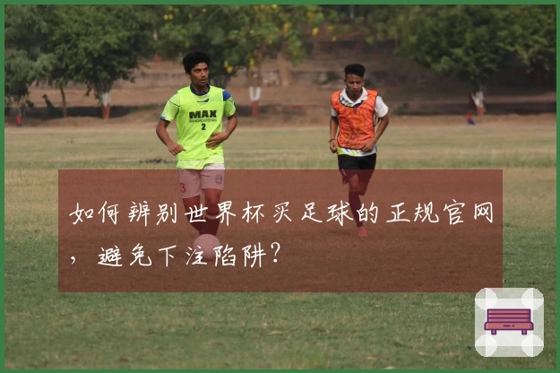 如何辨别世界杯买足球的正规官网，避免下注陷阱？