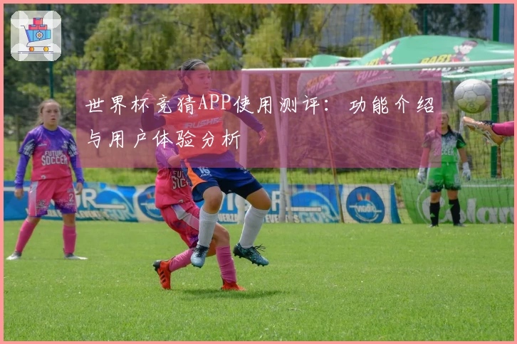 世界杯竞猜APP使用测评：功能介绍与用户体验分析