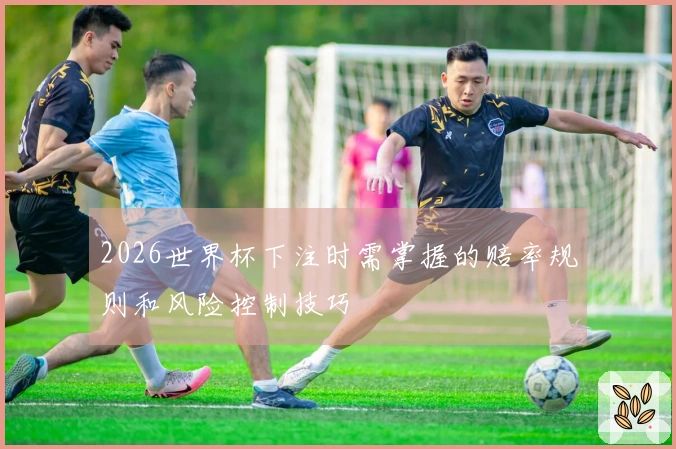 2026世界杯下注时需掌握的赔率规则和风险控制技巧