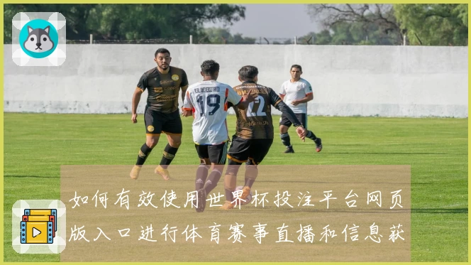 如何有效使用世界杯投注平台网页版入口进行体育赛事直播和信息获取
