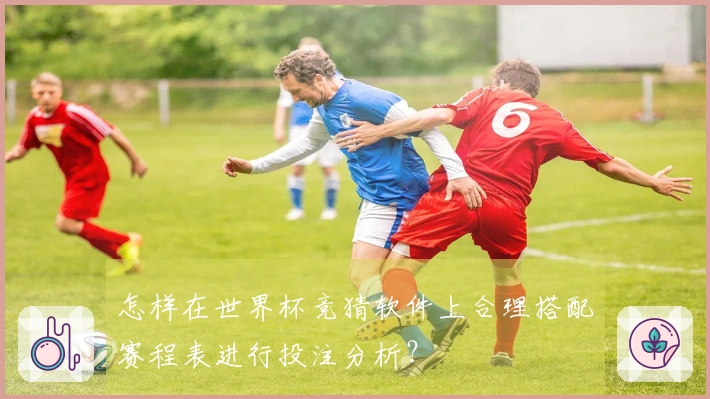 怎样在世界杯竞猜软件上合理搭配赛程表进行投注分析？