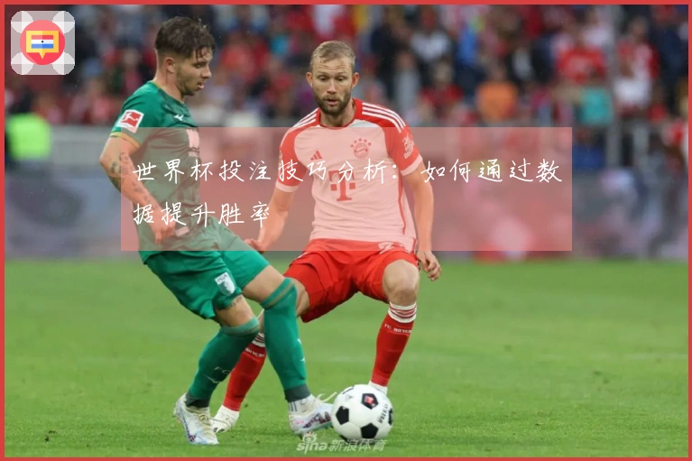 世界杯投注技巧分析：如何通过数据提升胜率